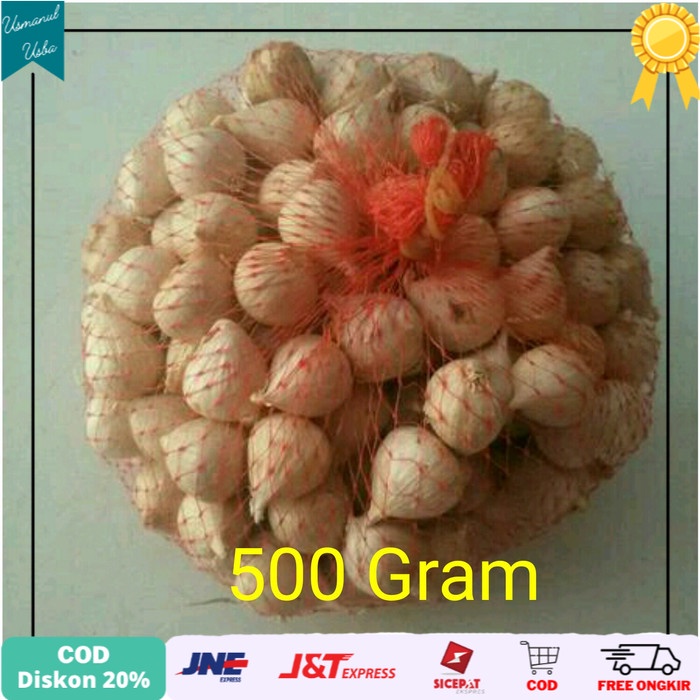 

◾COD◾ Bawang Putih Tunggal / Bawang Lanang