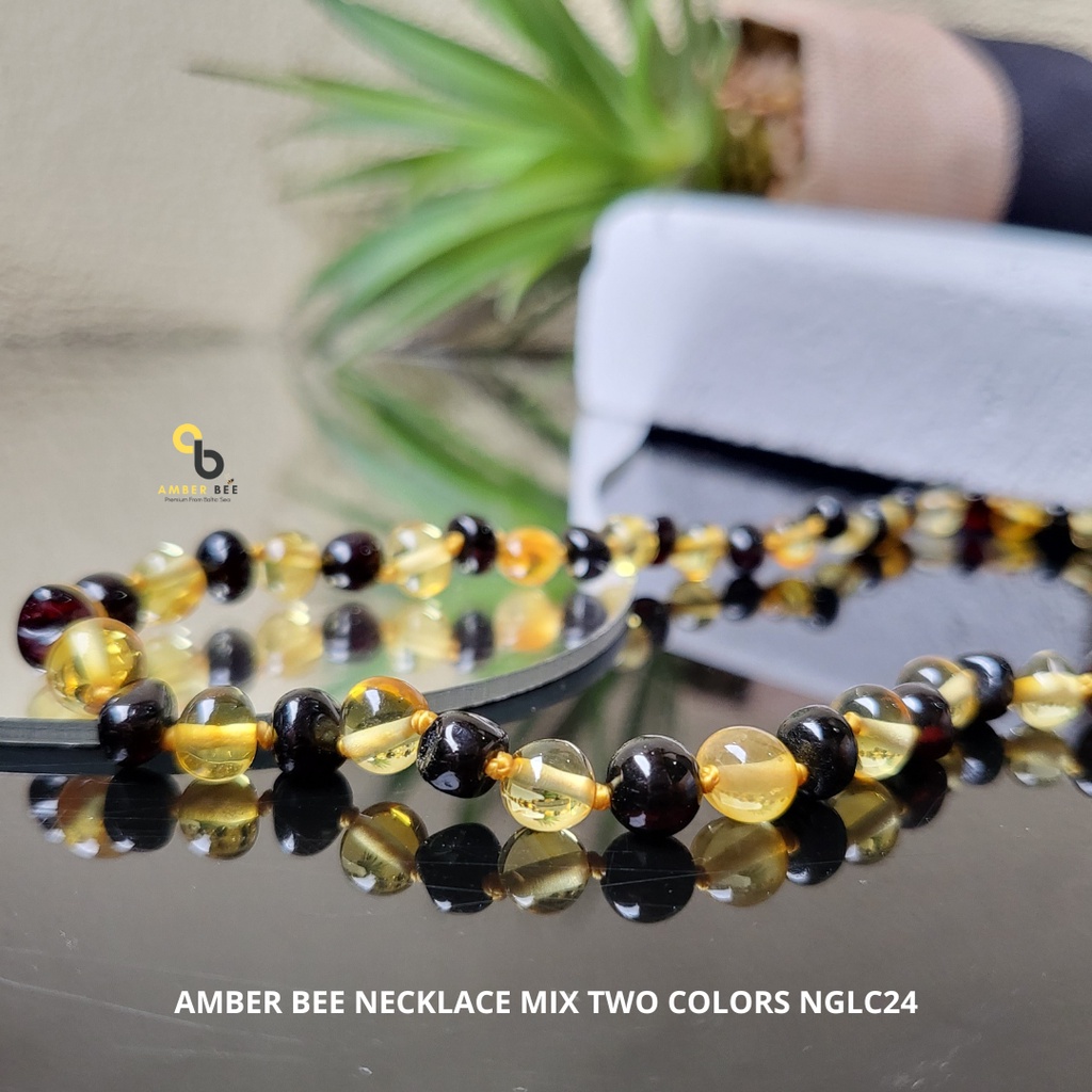 Kalung Amber Anak Premium Glossy Lemon Cherry NGLC24 By Amber Bee