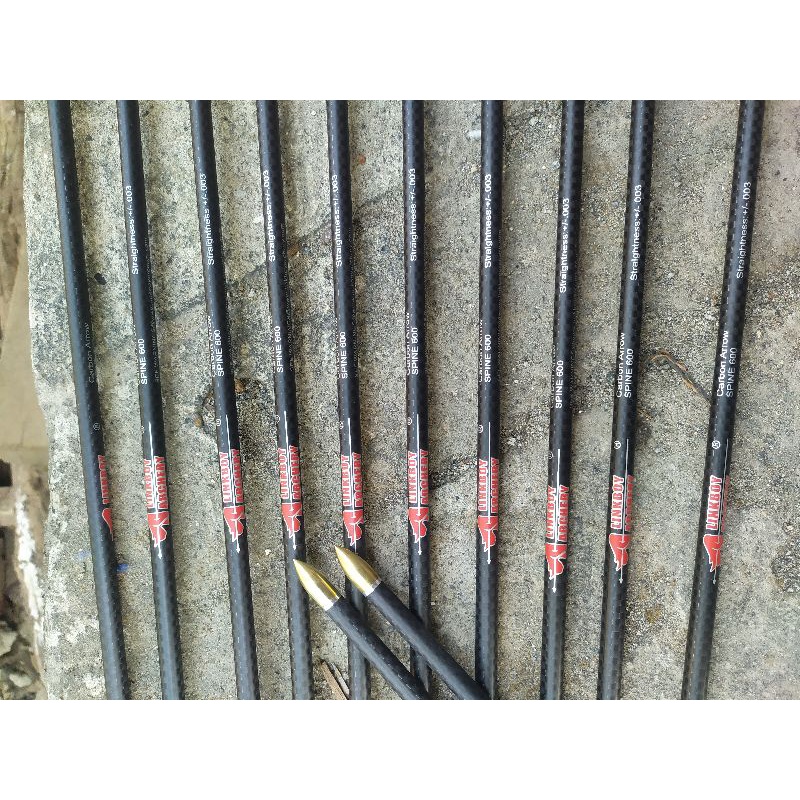 carbon arrow linkboy