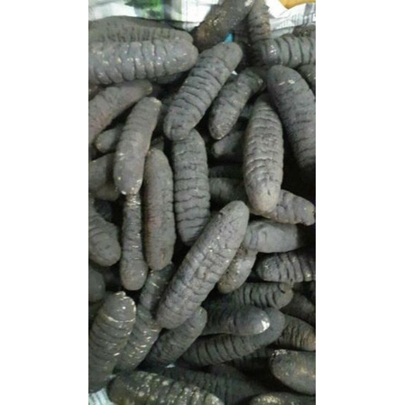 

Haisom Kering Teripang Kering Asli Belitung 500 Gram Isi 20