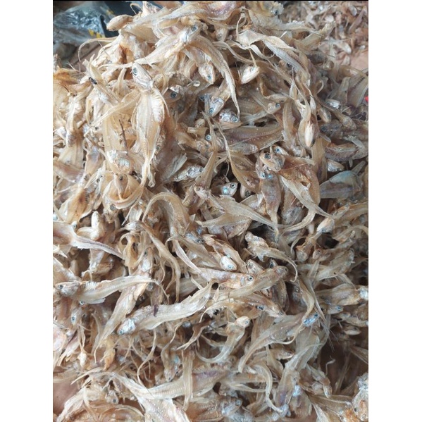 

Ikan Tawar Asin Bulu Ayam Asli Tungkal Jambi