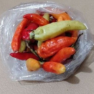 

Paket Cengek / Paket Cabai / Paket Cabe 5.000