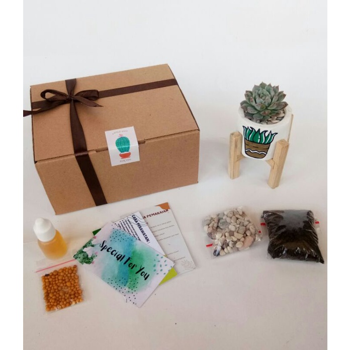 

GIFT BOX ( No brand )| HAMPERS MEWAH KAKTUS MURAH MERIAH | KIT KAKTUS ( Paket 1 )