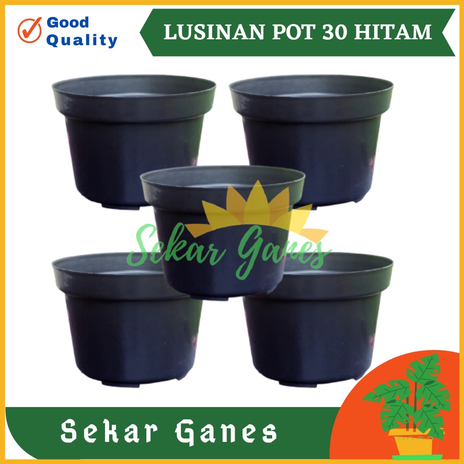 LUSINAN Pot 30 Hitam Isi 12Pcs TERMURAH GROSIR Pot Lusinan Hitam Murah Termurah 12 15 17 20 25 30