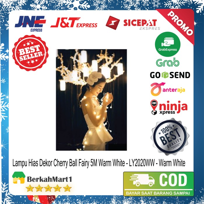 Lampu Hias Dekorasi Ruangan Cherry Ball Fairy 5M Warm White