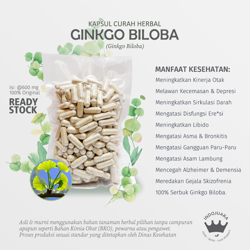 

GINKGO BILOBA 200 x 600mg Kapsul Curah Herbal Daya Ingat Anti Aging Lemah Syahwat PMS Libido Asma