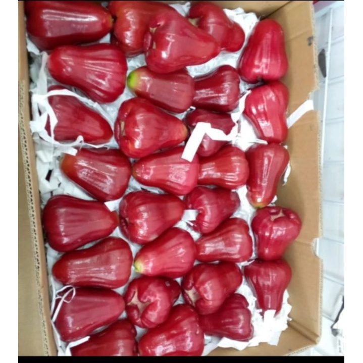 

jambu merah/citra500gr