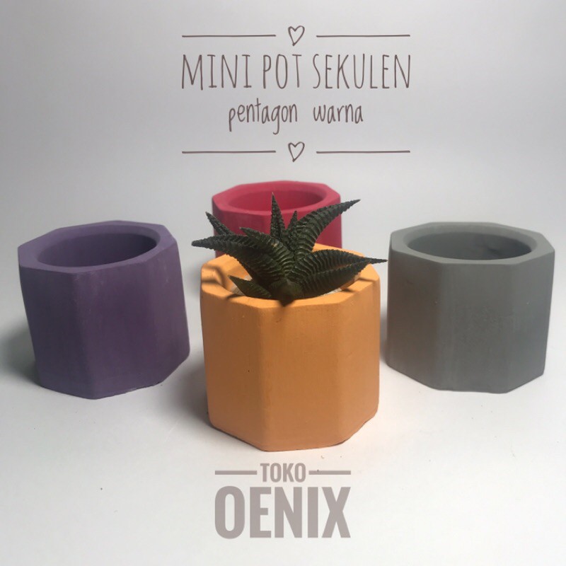 Mini Pot Sekulen Octagon Warna