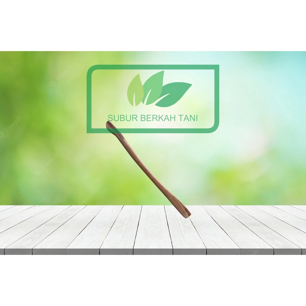 DORAN GAGANG CANGKUL , DORAN PACUL , GARAN PACUL , DORAN CANGKUL