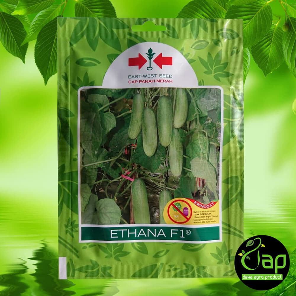 BIBIT/BENIH TIMUN ETHANA F1 CAP PANAH MERAH 800 BJ