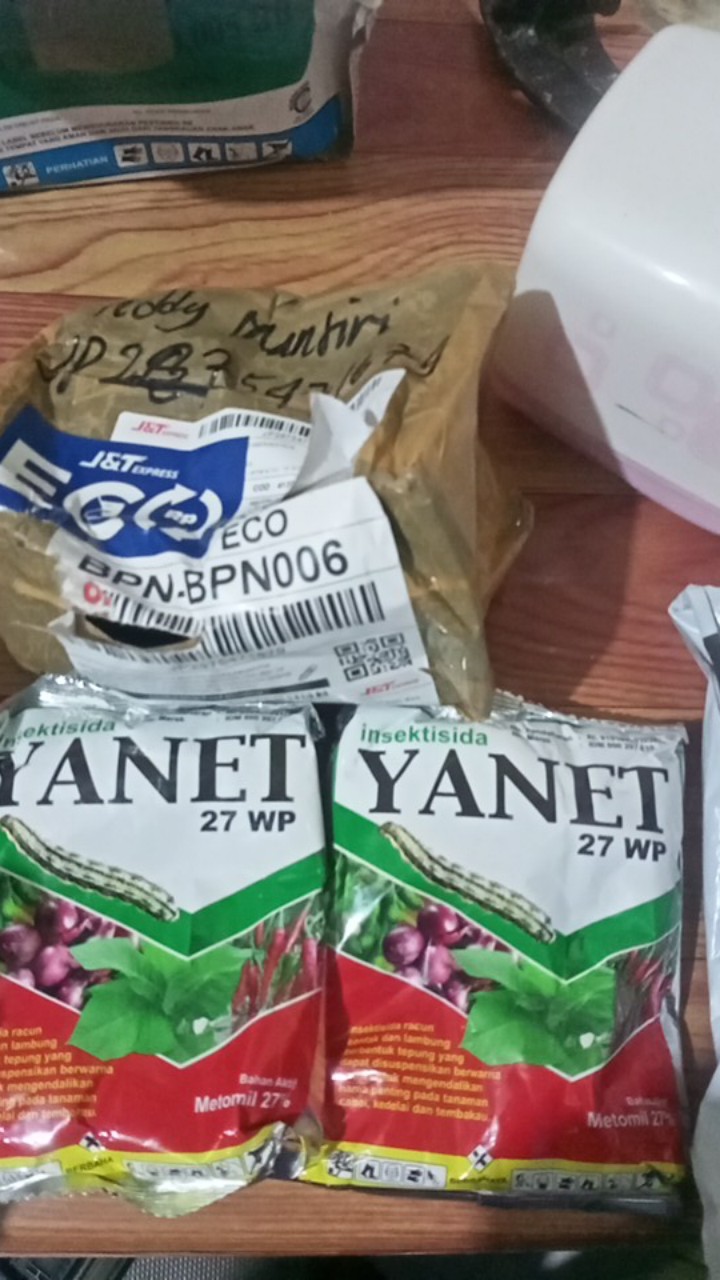 Insektisida Yanet Metomil 27wp 100gr