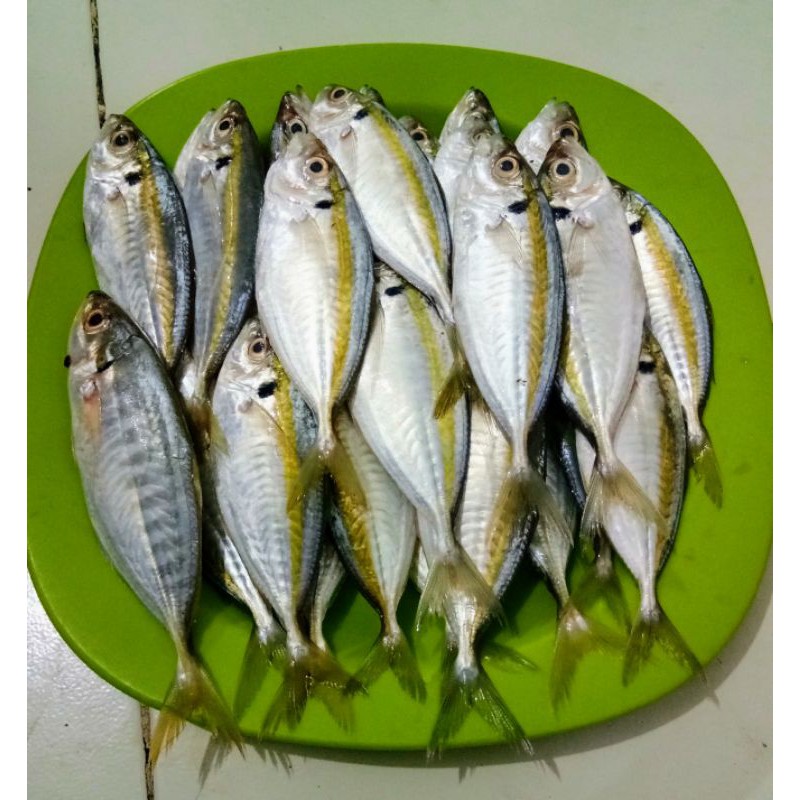 

IKAN SELAR SEGAR 1KG