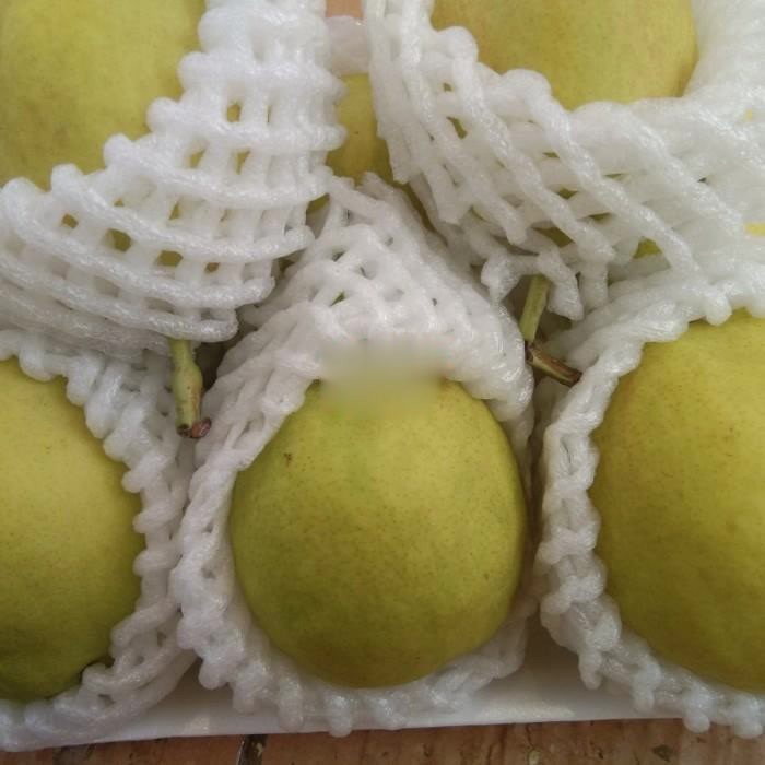 

BUAH PEAR XIANGLIE 1 KG