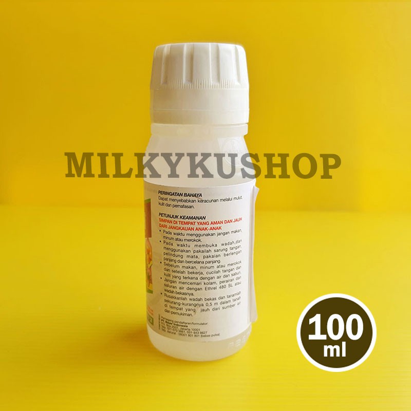 ETHREL 480 SL 100 ML ZPT PEMATANG BUAH NAGA PISANG PEPAYA