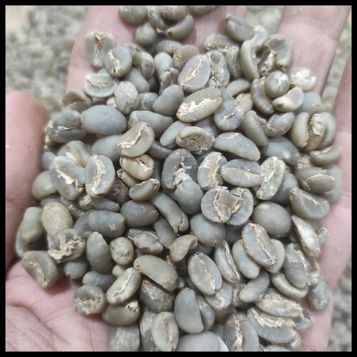 

Green Bean Arabica Gayo Semi Wash(Wet Hull)1000 Gr (Biji Mentah)