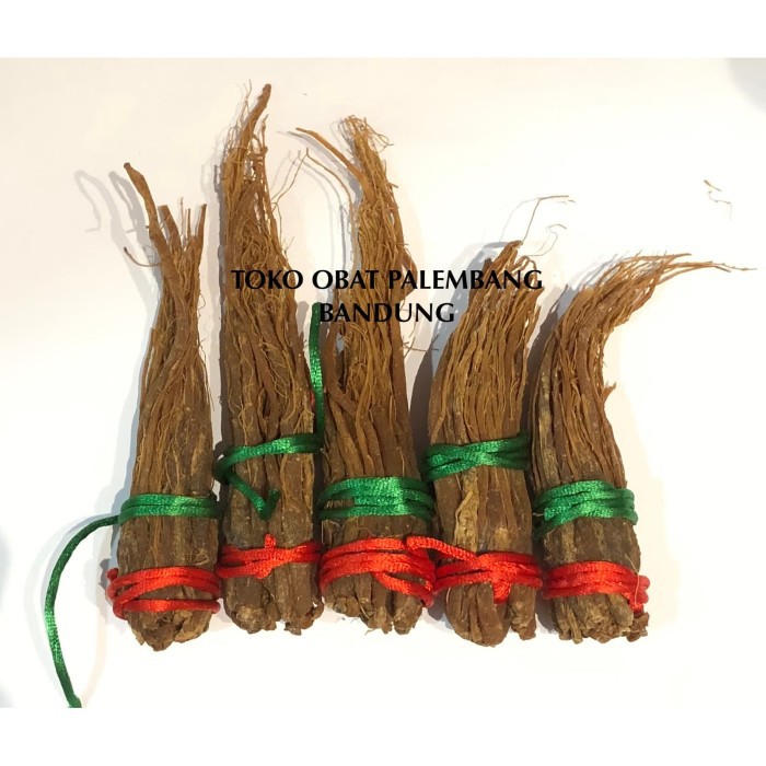 

AKAR KOLESOM 100GR KOREAN GINSENG GAO LI SHEN GAOLISHEN ROOT