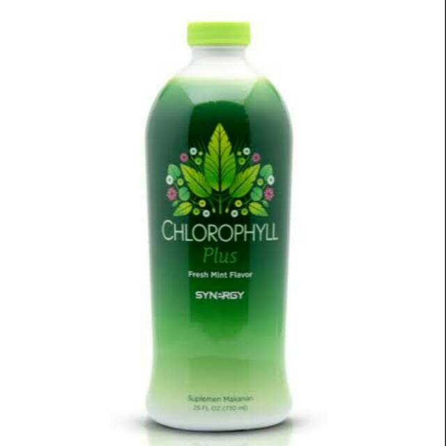 Chlorophyll Synergy 25oz