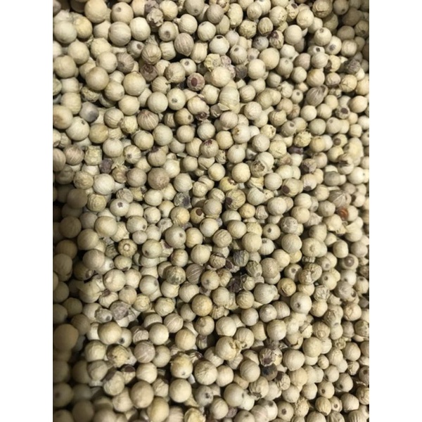 Merica Putih (1 Kg) / Lada Putih / White Pepper / Sahang / Hu jiao (胡椒)