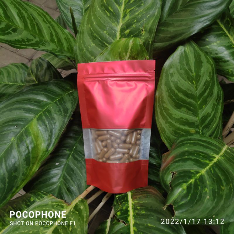 

120 kapsul Murni Herbal Chuan Dan Shen 川丹参 Salvia Miltiorrhiza
