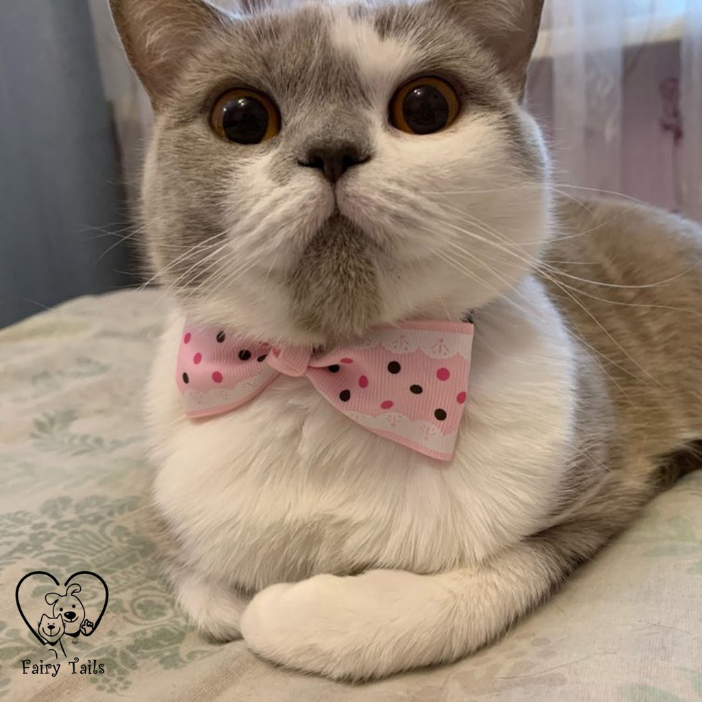 Kostum Cosplay Anabul Anjing Kucing Dasi Kupu Kupu | Bowtie Fashion Costume for Pet