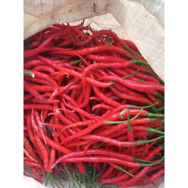 

cabe merah
