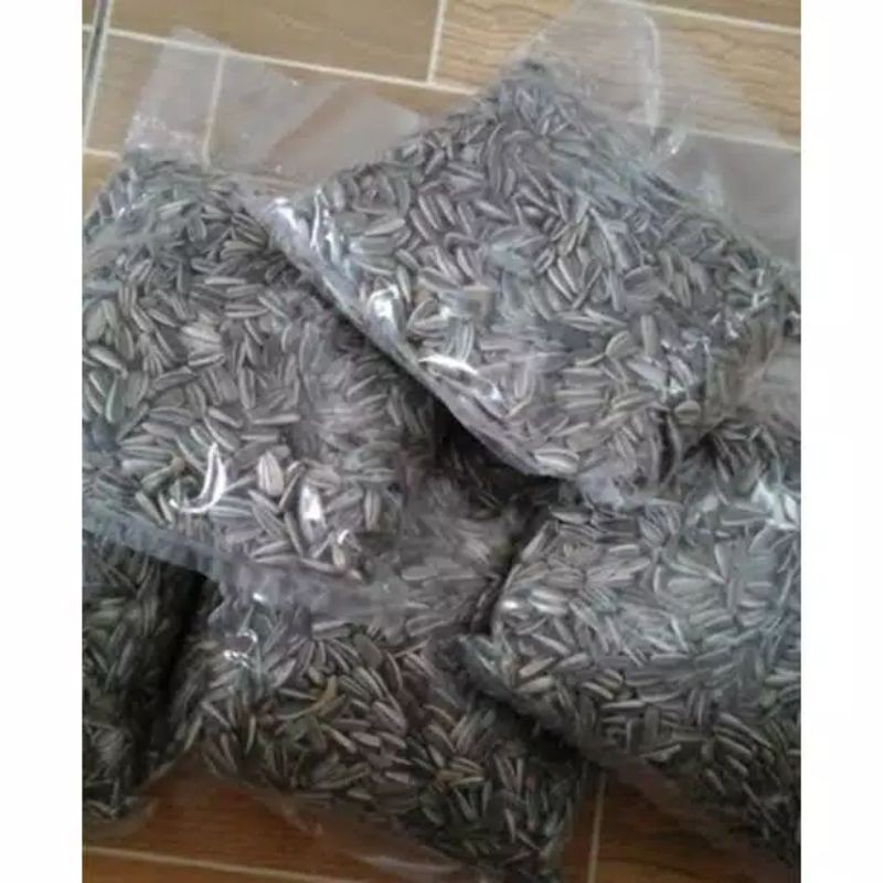 100 biji benih matahari / biji benih matahari 100pcs