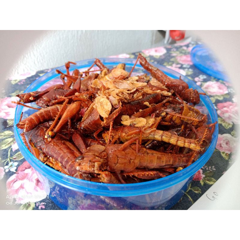 

belalang goreng kayu 165 gram