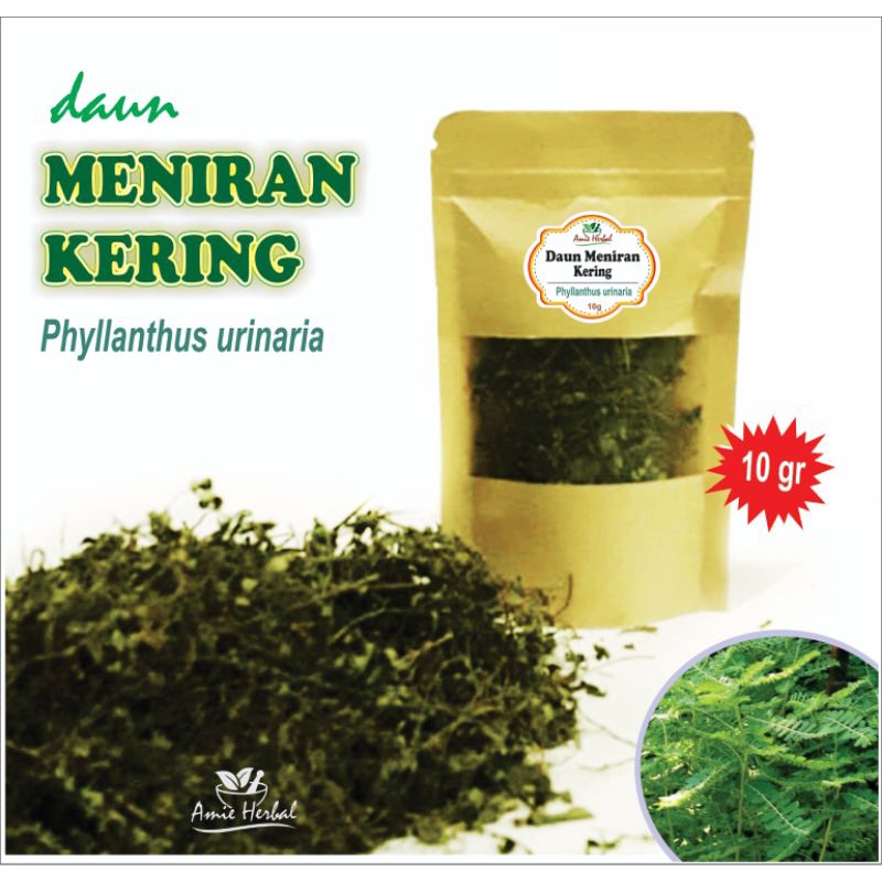 

Daun Meniran Kering/Phyllanthus Urinaria. Herbal/Tea. 10 gram.