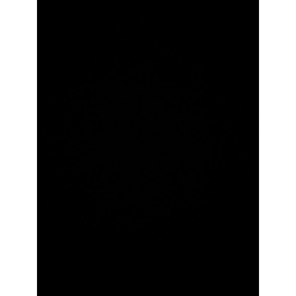 

Bubble Wrap untuk Packing