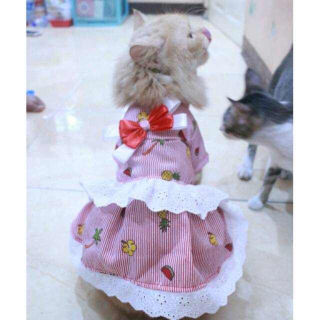 Dress strip bunga buah lucu untuk kucing dan anjing size S M L XL