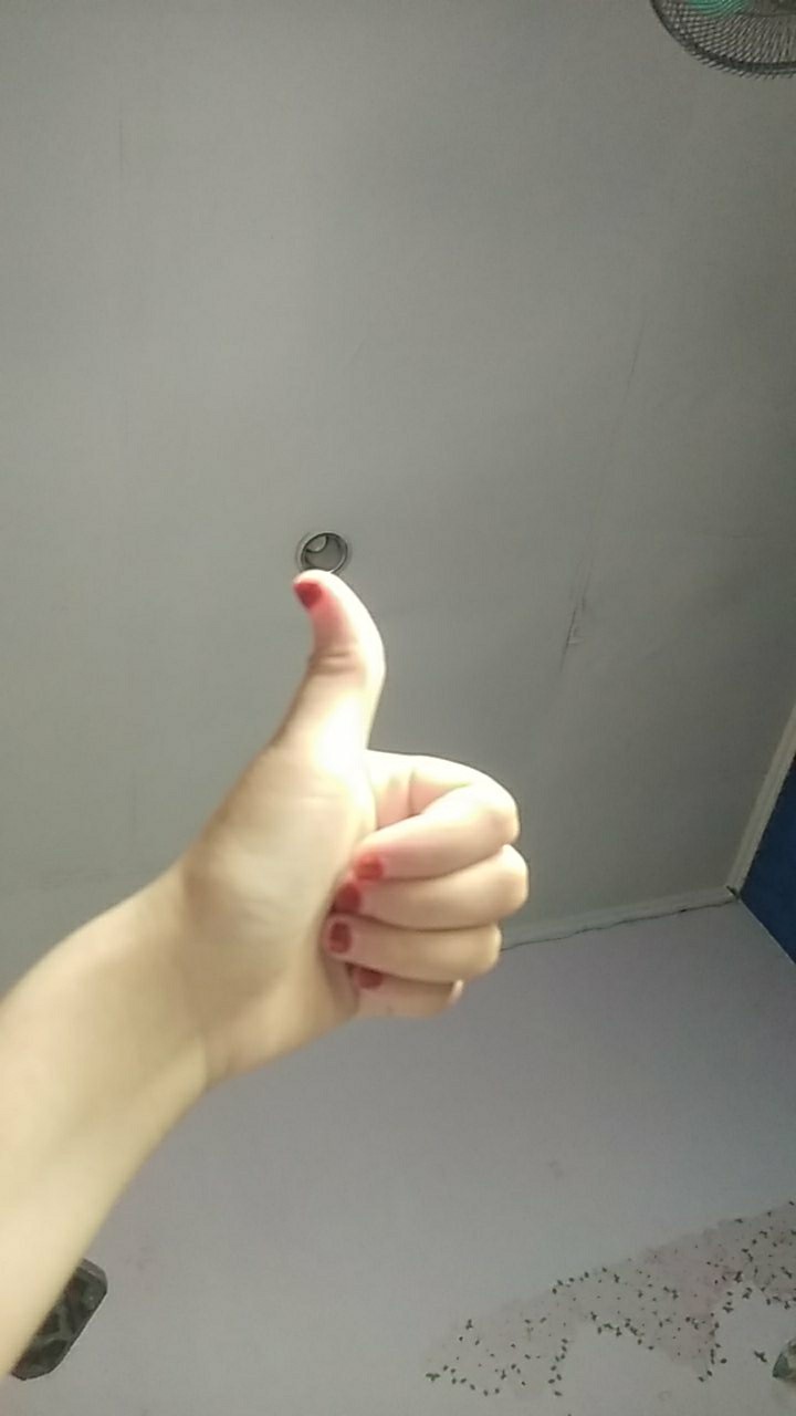 Chrome Krom Diton Premium Cat Pylox Pilox Semprot 300 Cc