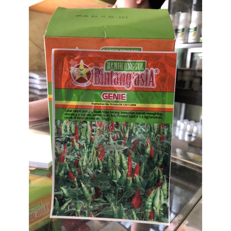 GENIE benih cabe rawit