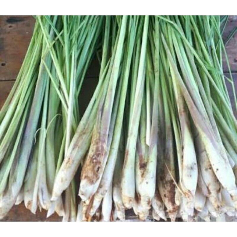 

Daun Serai/sereh 1ikat