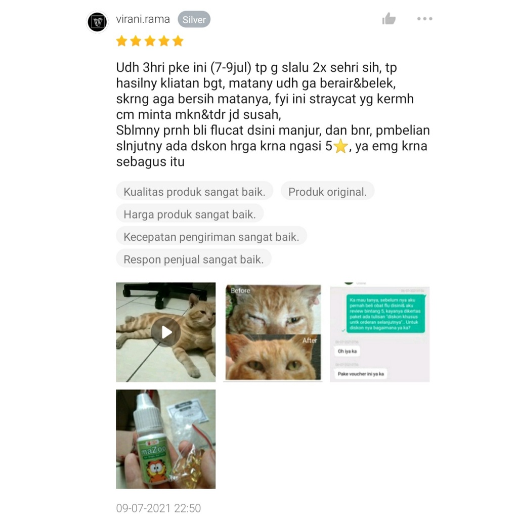 Obat Mata Kucing Paling Ampuh Berair Belekan Bengkak dan Menonjol Bernanah Berair Selaput Putih Trixin Clamiida Obat Tetes Mata Kucing Flu Belekan Berair Berselaput Kitten Royal Care Bengkak Bernanah Eye Drops Katarak