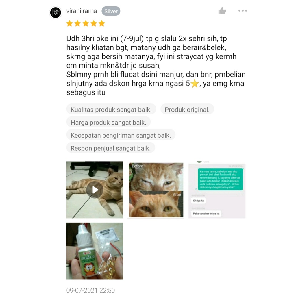 Obat Mata Kucing Obat Tetes Mata Kucing Trixin Belekan Berair Kitten Merah Bengkak Selaput Putih