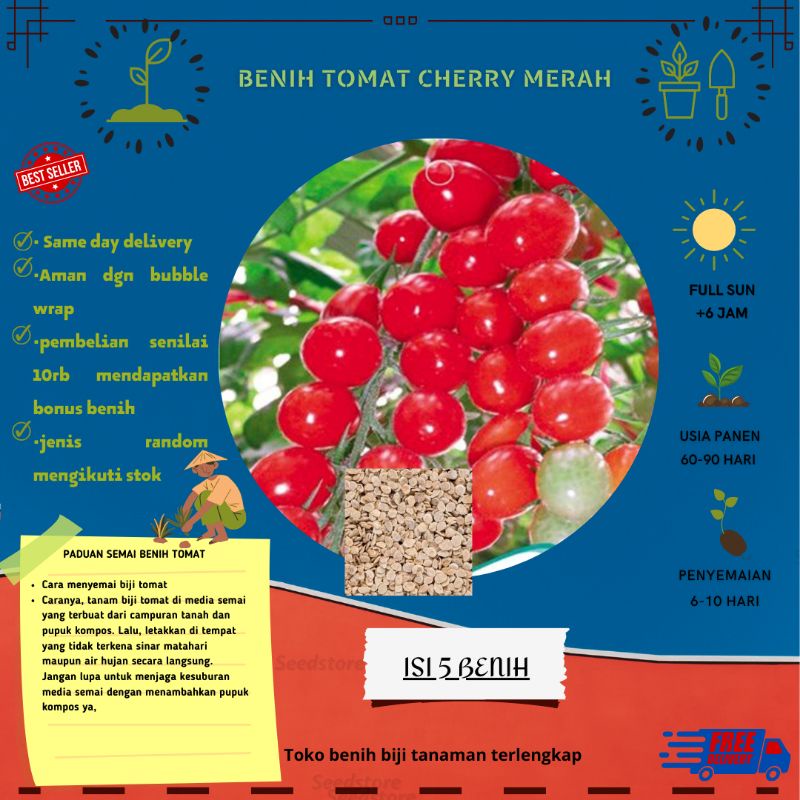 5 benih tomat Cherry Red Tomat - Cherry Red Tomato Seeds