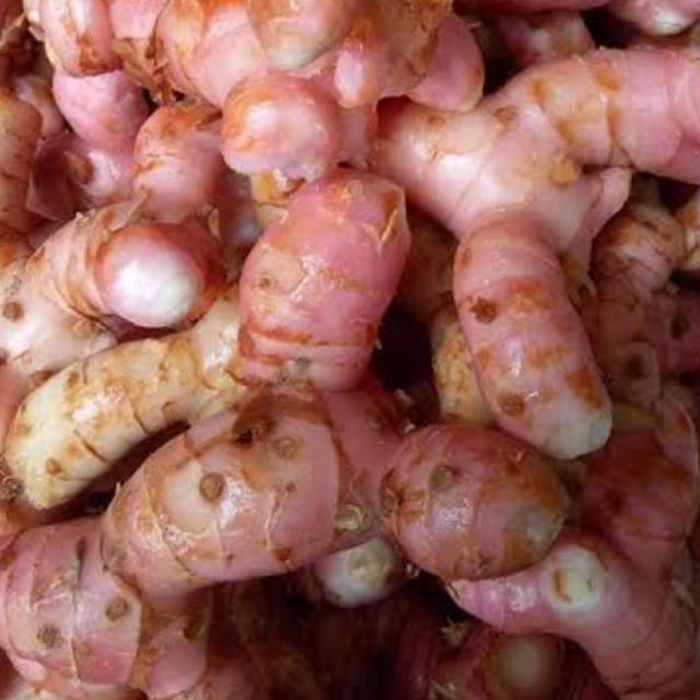 

LENGKUAS SEGAR/ LAOS