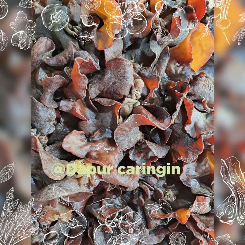 

Jamur Kuping Lember Segar Bandung