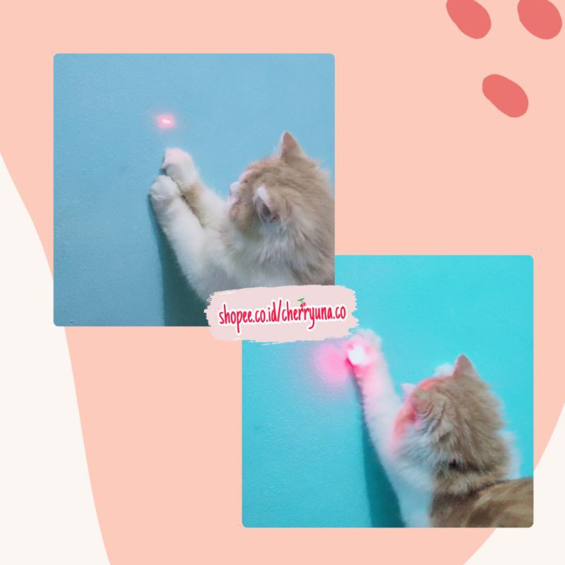 Mainan Laser Kucing Gantungan Kunci Senter Laser Ledlight