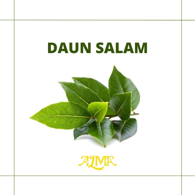 

Daun Salam / sayuran / sayuran fresh