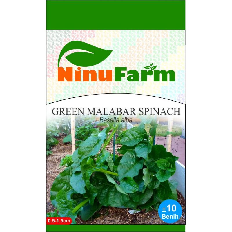 Jual Benih Bayam Hijau Malabar Bibit Green Malabar Spinach Bayam Malabar Shopee Indonesia