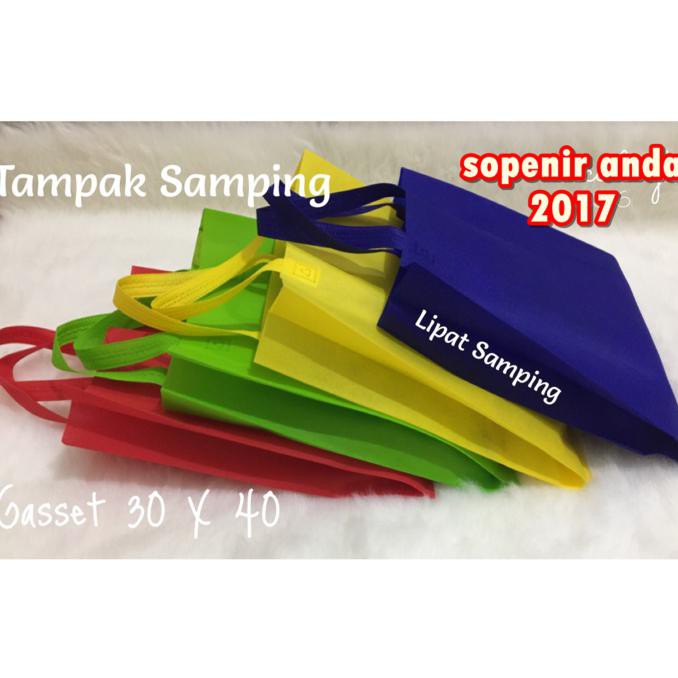 

Tas Spunbond Standing Gasset (25X35X8)