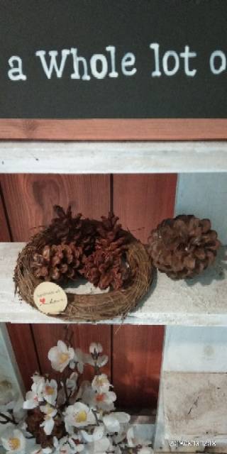 Birdnest Sarang Burung Daun Pinus Dekorasi Rustic mahar cincin 11 cm