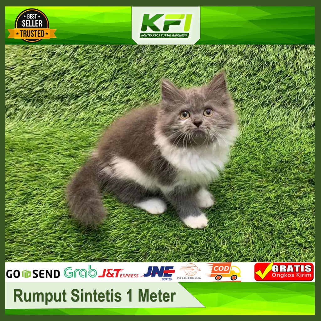 Rumput Sintetis Kucing Karpet Rumput Sintetis 1 meter Karpet Rumput Sintetis 20mm Rumput Sintetis Sw