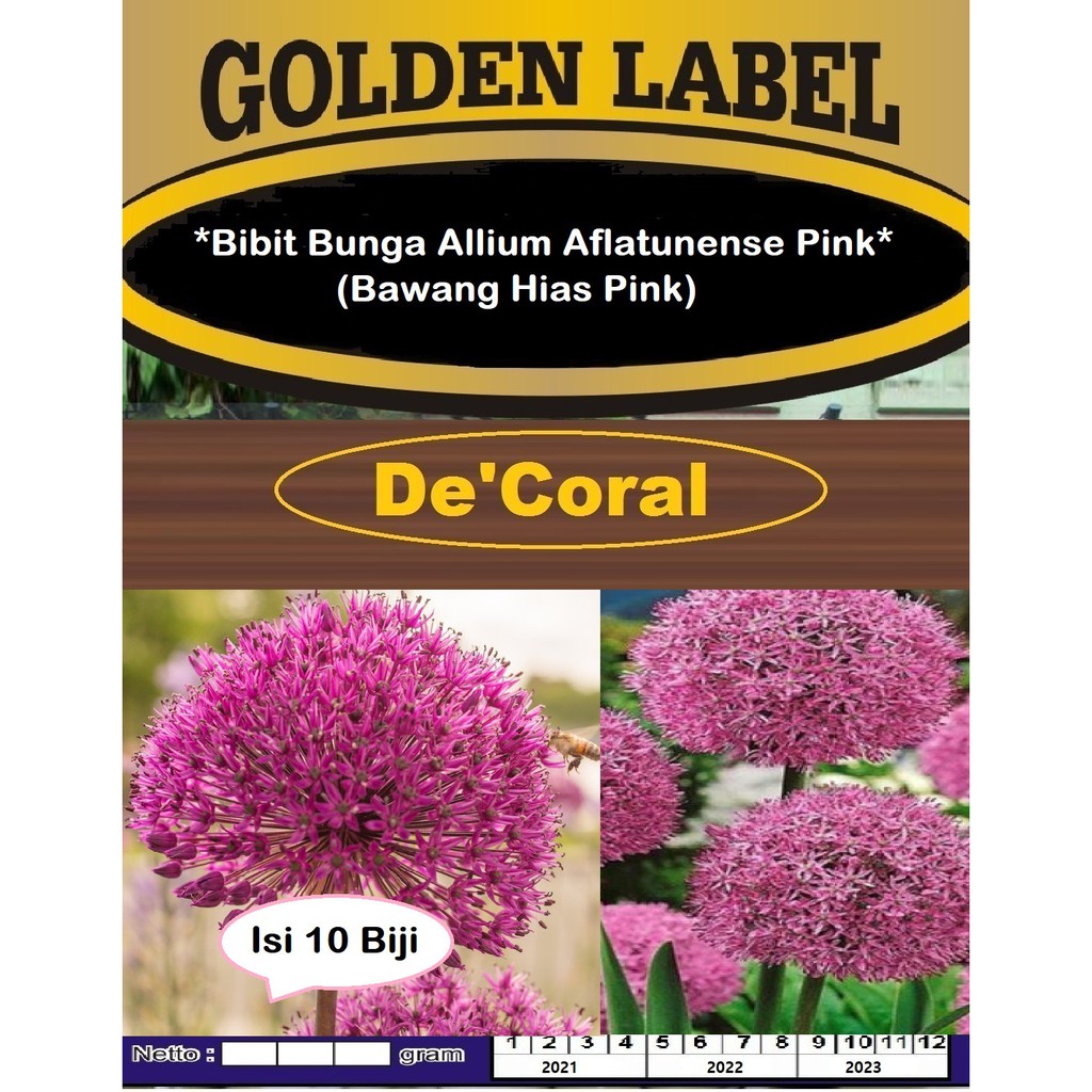 Bibit Bunga Allium Aflatunense Pink | Benih Bawang Hias Pink