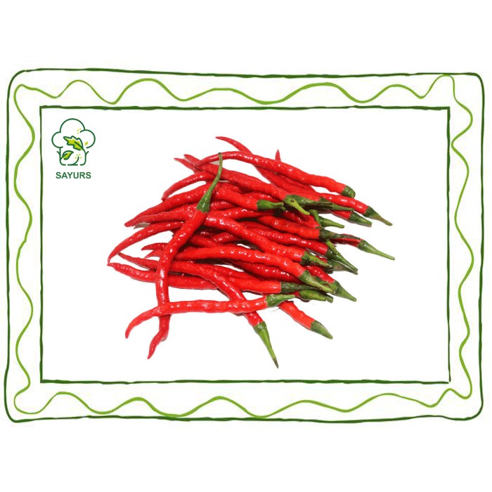 

Cabe Merah Keriting | Cabe Keriting | Cabe Keriting Merah