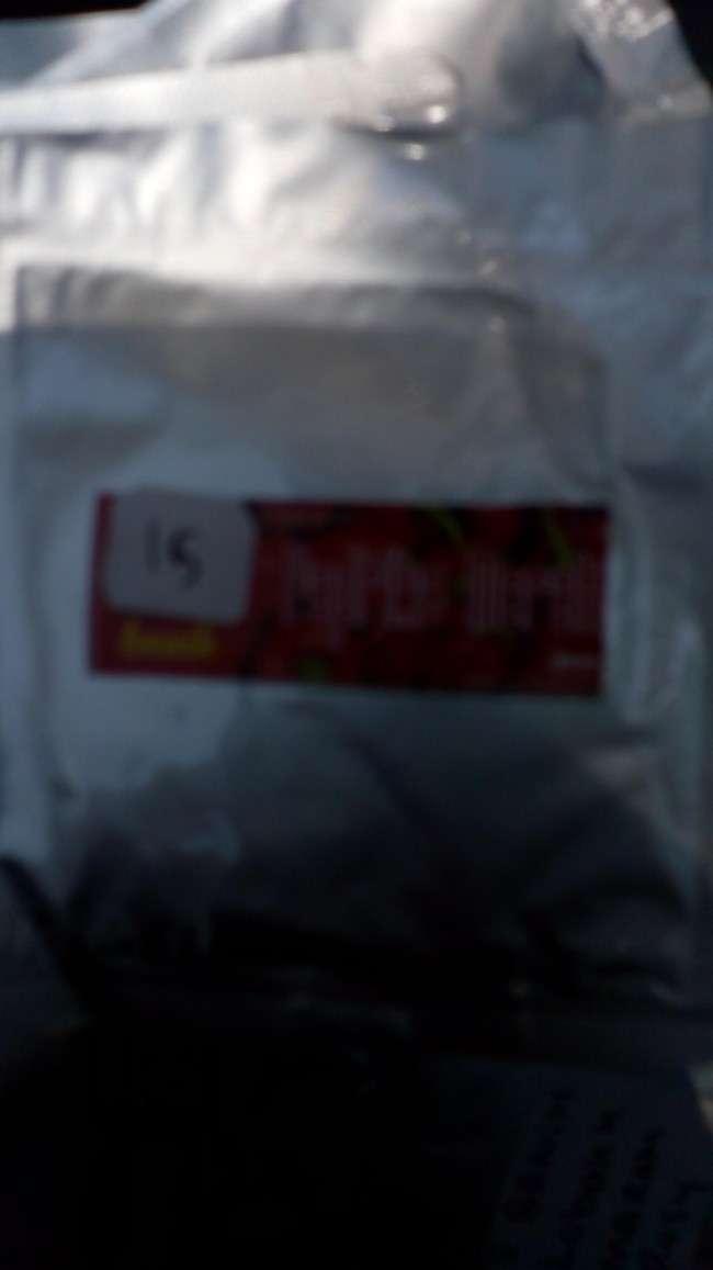 5 Biji Benih Paprika Merah