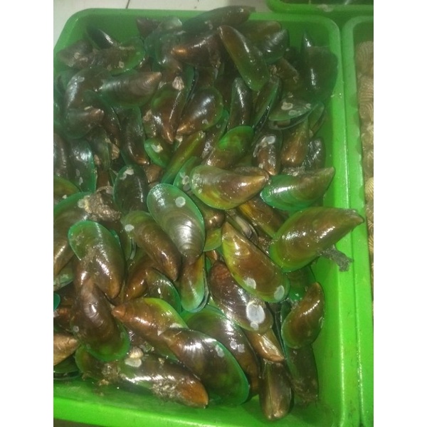 kepiting