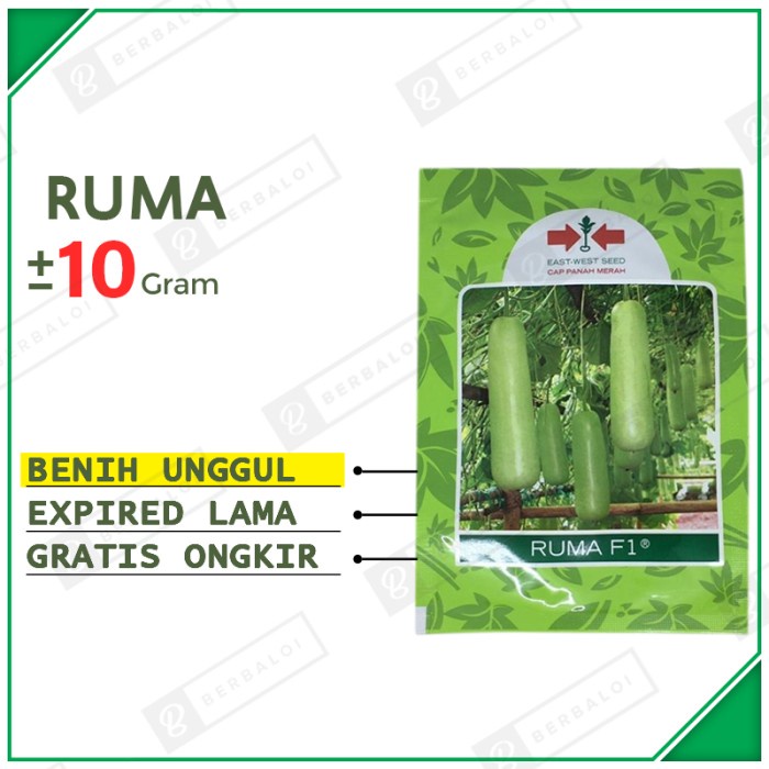 Ruma F1 Benih Labu Air Unggul Bibit Labu Siam Hibrida