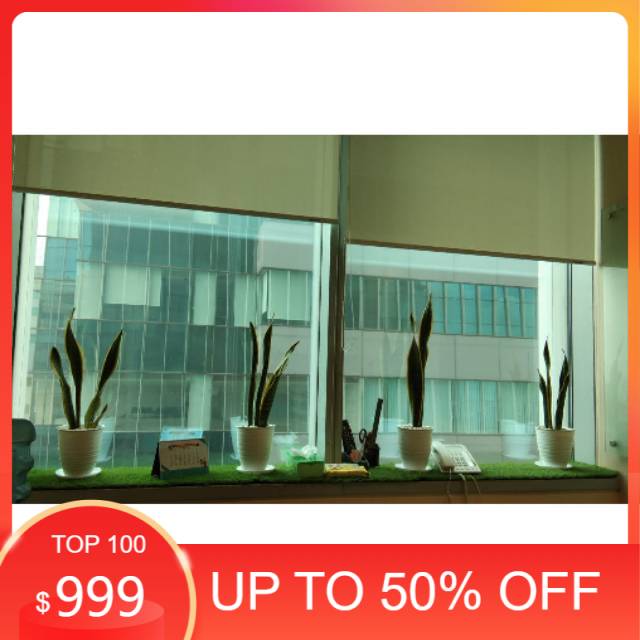 Paket 4 tanaman pembersih udara dan pot - sansivera lidah mertua -